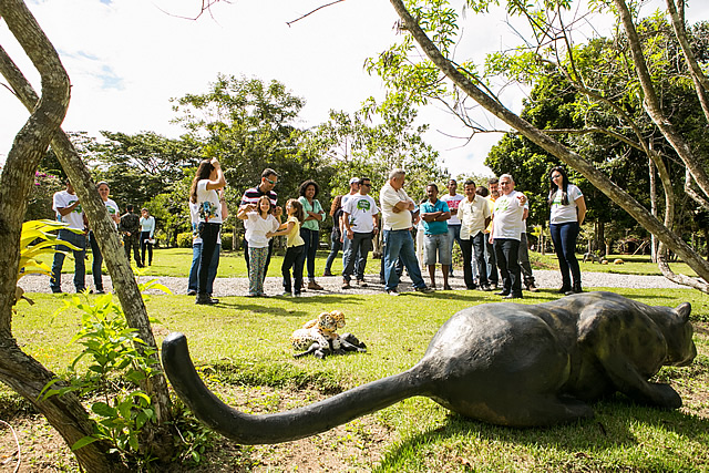 Exposição “Diálogos com a Floresta”: educação a favor da preservação ambiental