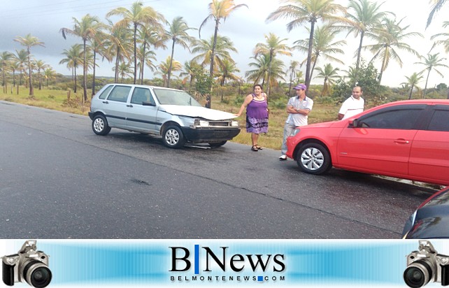 Acidente entre um carro e um animal quase acaba em tragédia na BA-001 em Belmonte.