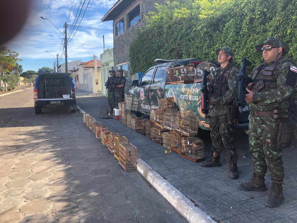 CIPPA/PS e 8ºBPM apreendem 44 aves em cativeiros irregulares em Belmonte.