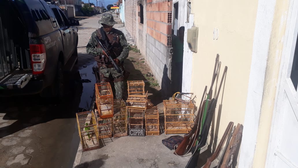 Indivíduo é preso por crime ambiental em Barrolândia.