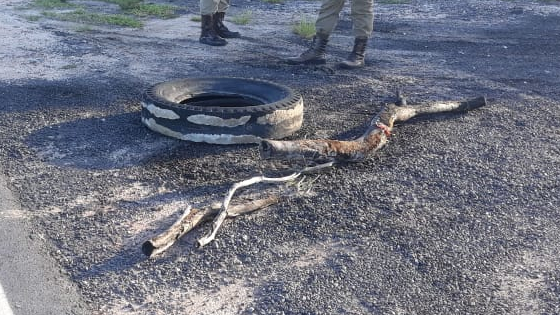 Bandidos roubam veículo na entrada de Belmonte e trocam tiros com Policiais Militares.