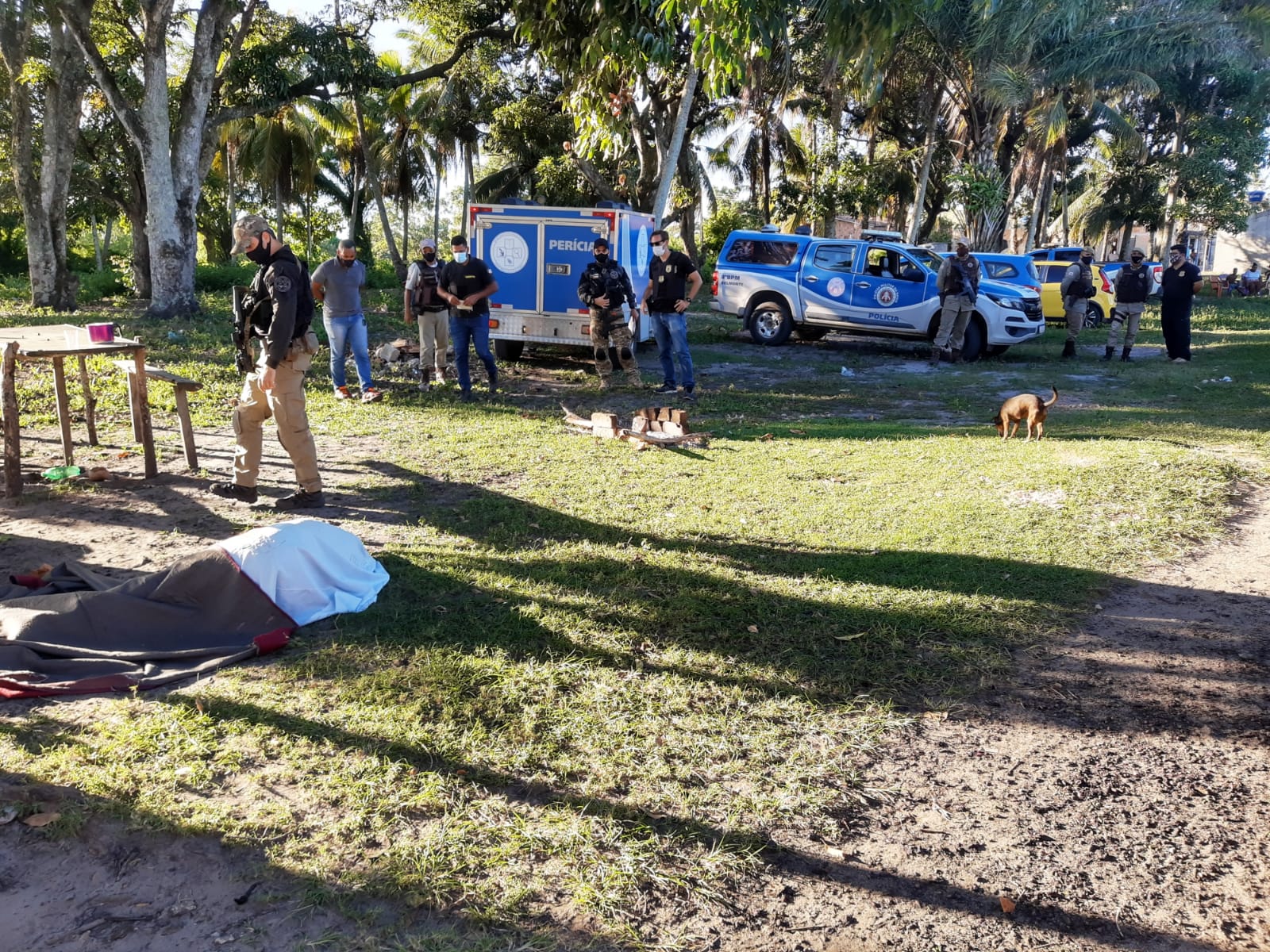 Dois jovens morrem assassinados em Belmonte.